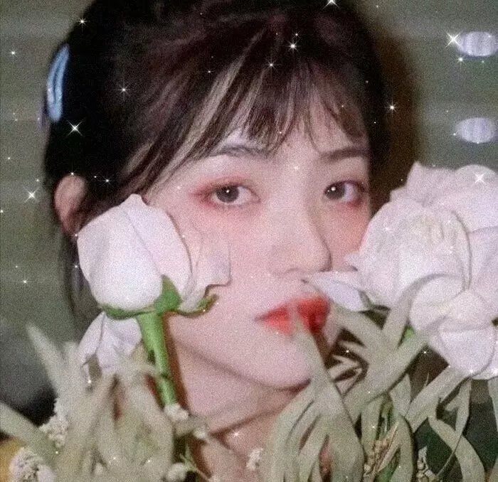 48 个圣诞愿望